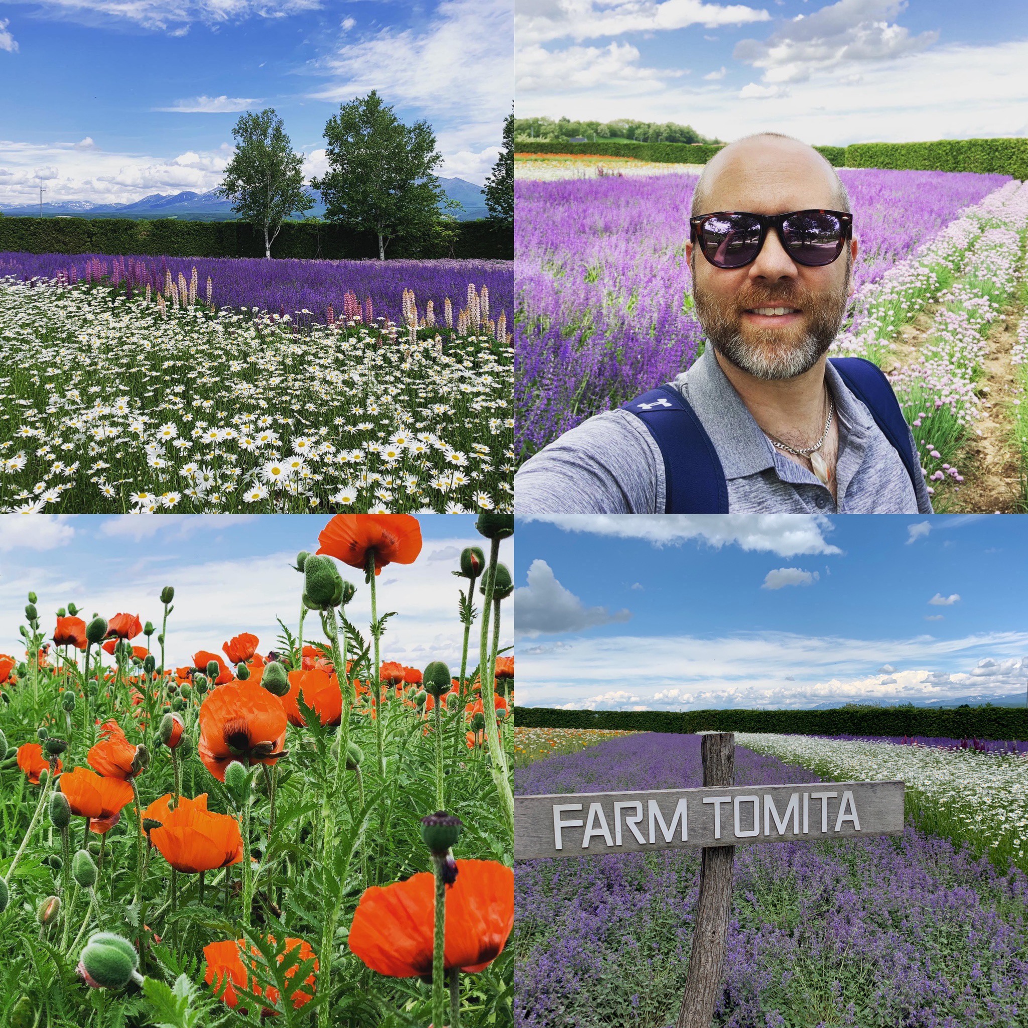 Hokkaido flower fields at Farm Tomita