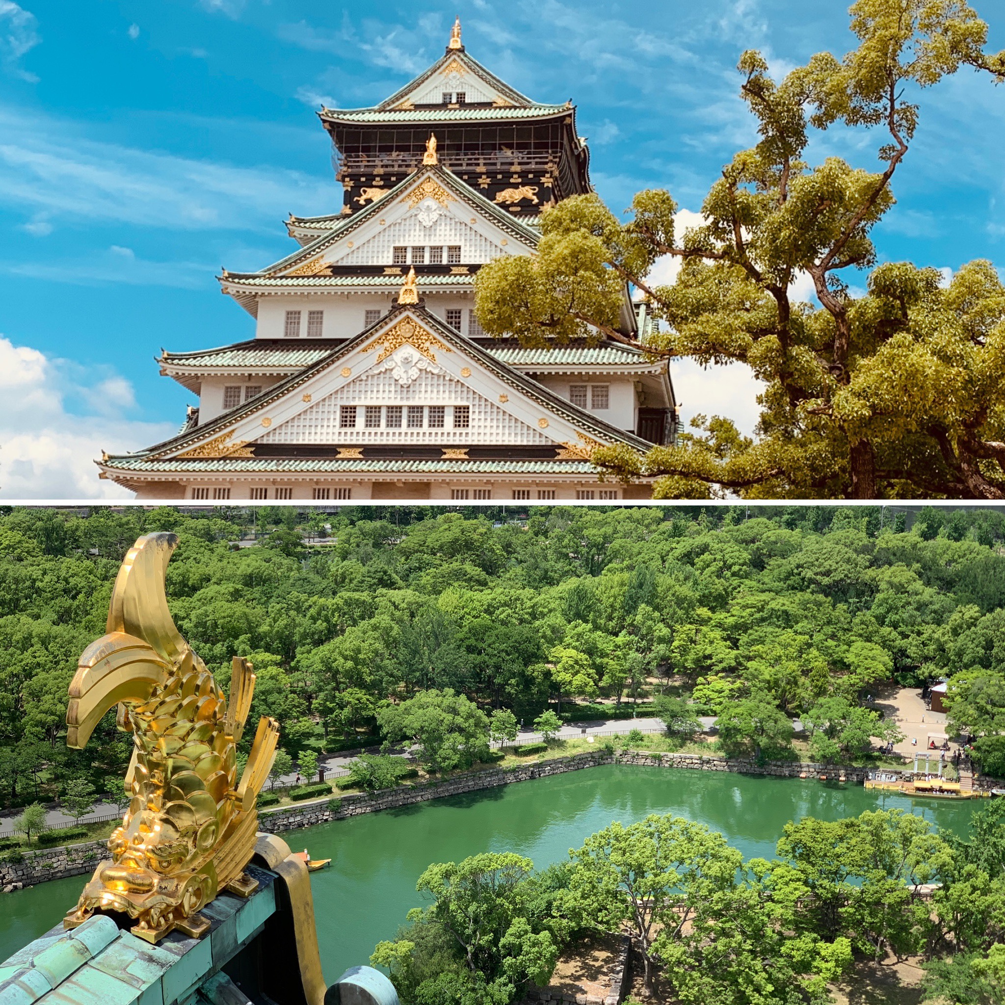 d9709874-f2c7-49bf-b541-61a22d090e85