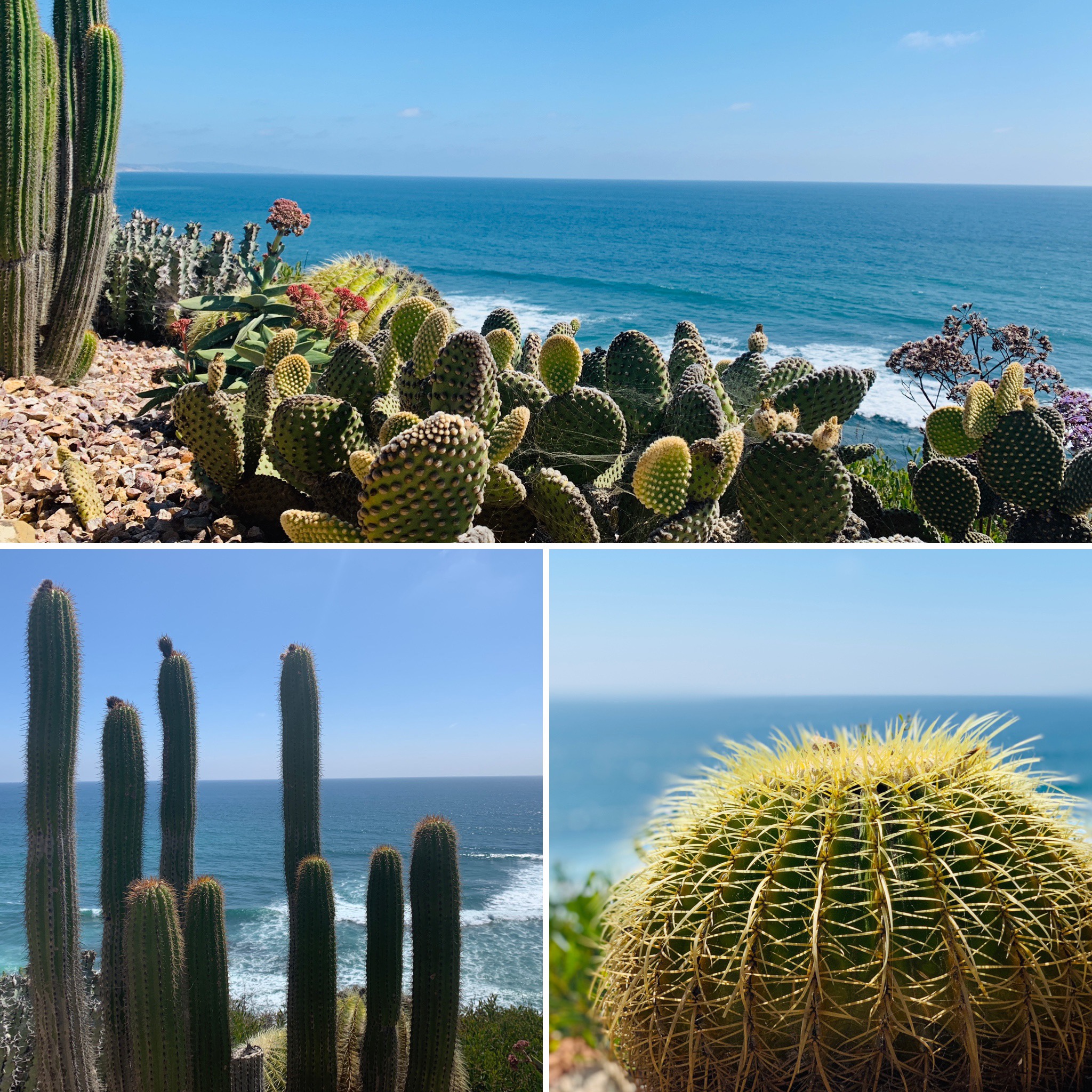 042e9db7-4659-42bd-ba36-be5eb73dbe0c