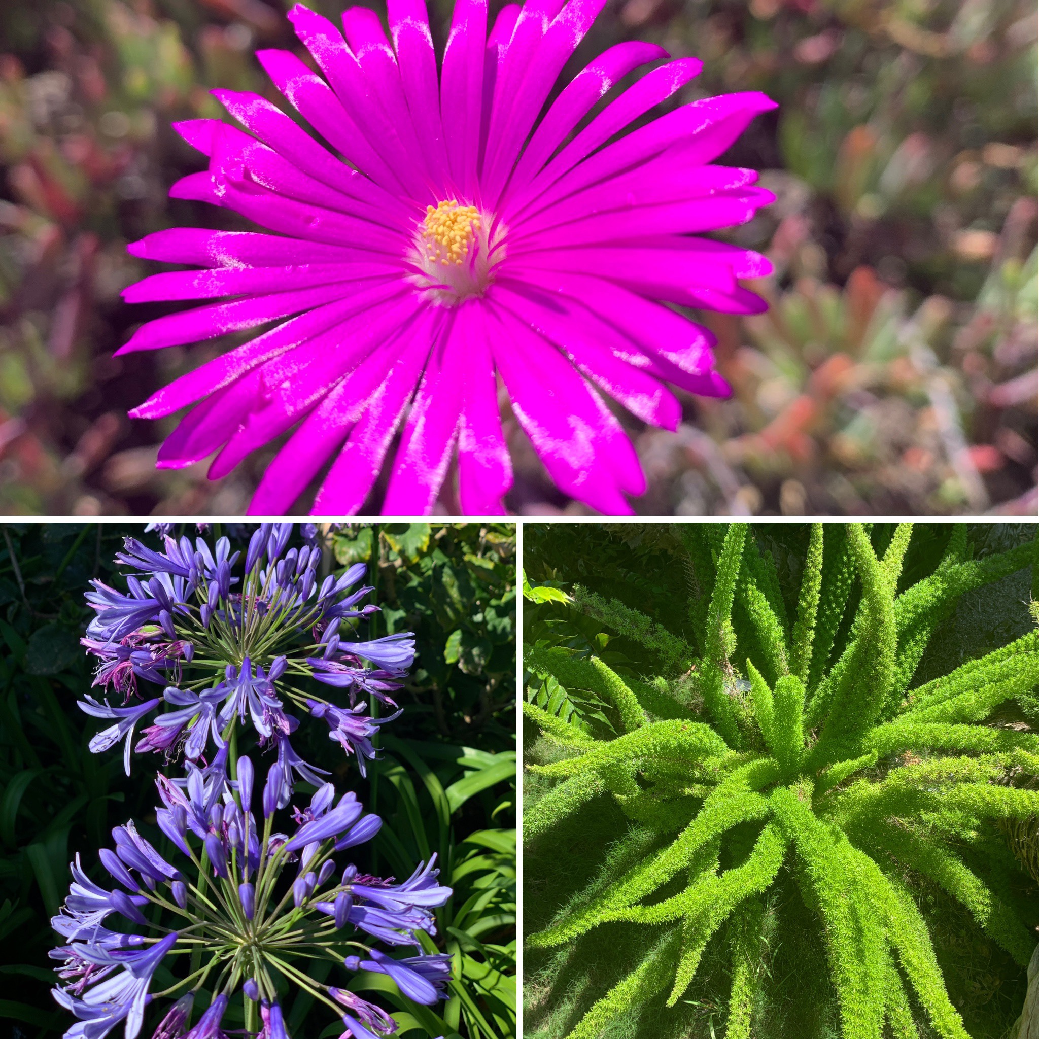 15c571a0-f2fa-4d19-a112-0419b48ec716