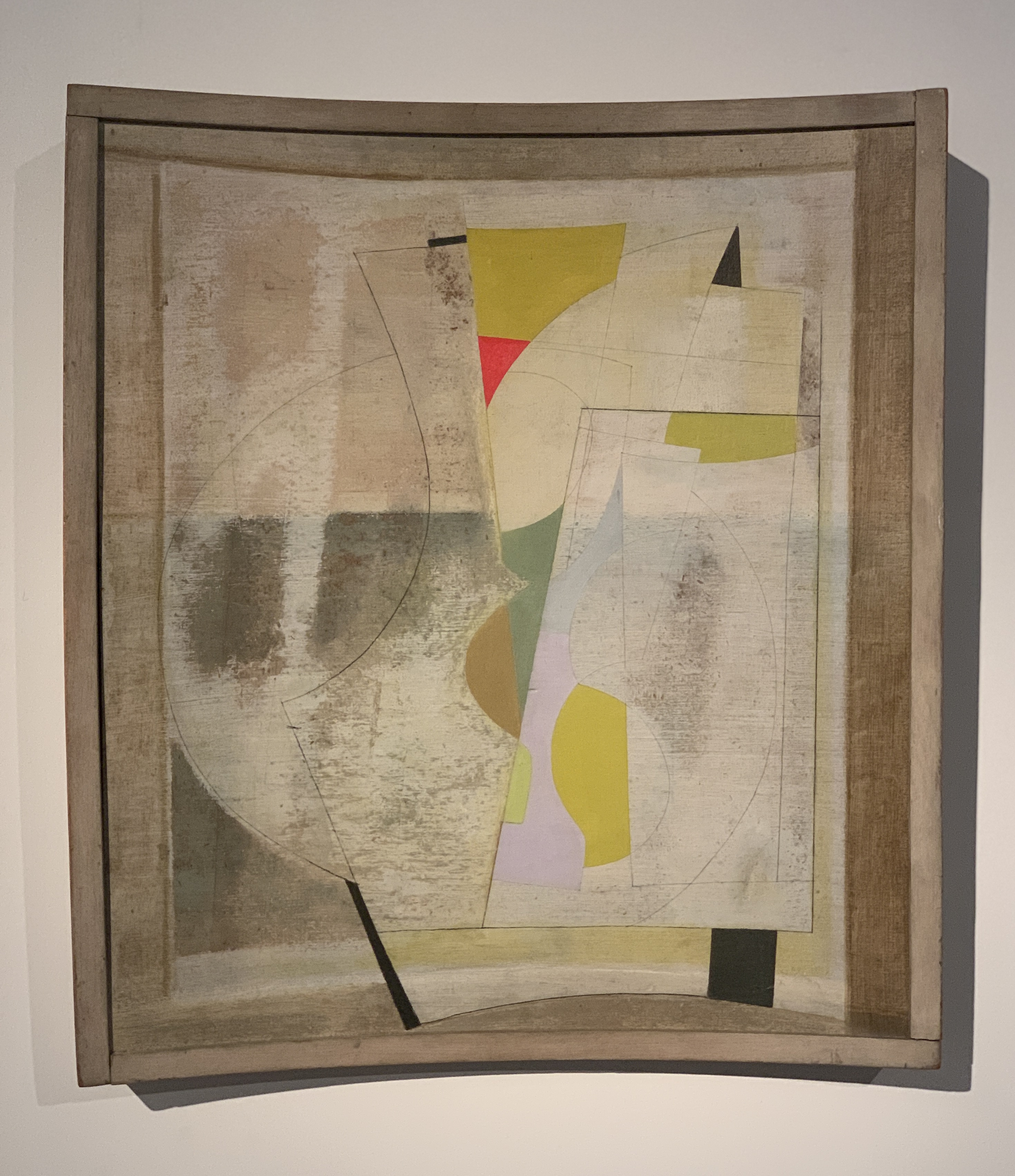 Parakeet, Ben Nicholson, 1953