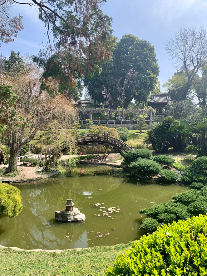 Japanese garden at The Huntingdon