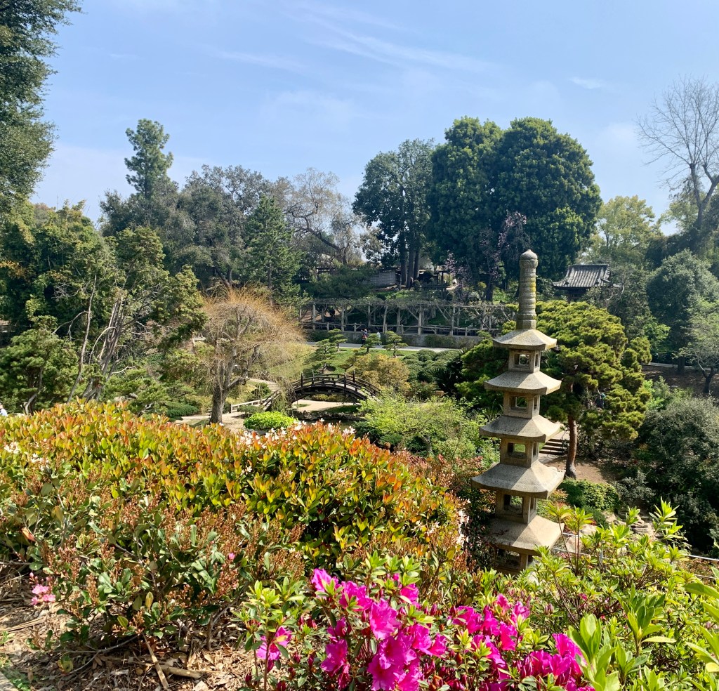 Japanese garden at The Huntingdon